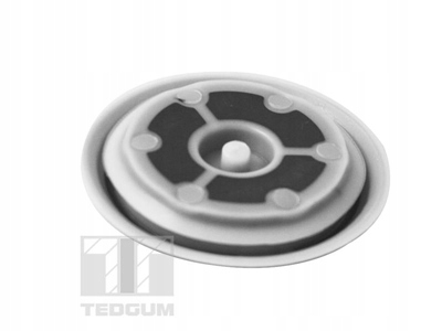 Tedgum 00724121 Podłoga nadwozia Producent części Tedgum
