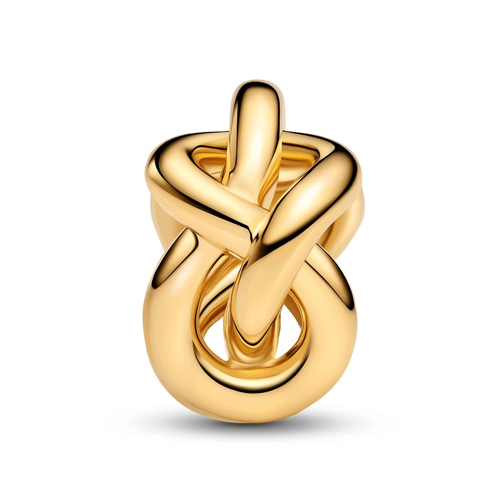 Charms Pandora Shine S uzlem nekonečna 763755C00