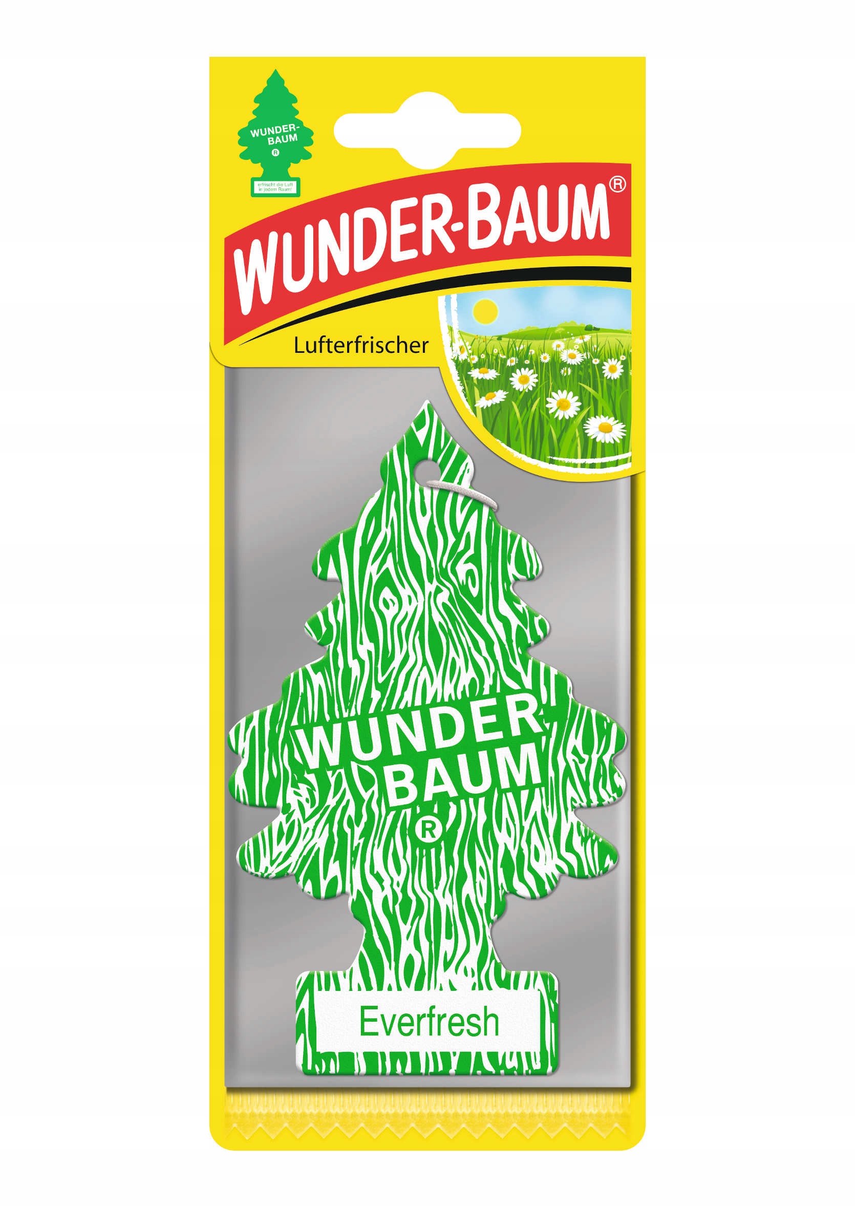 Wunder-Baum choinka zapachowa Everfresh