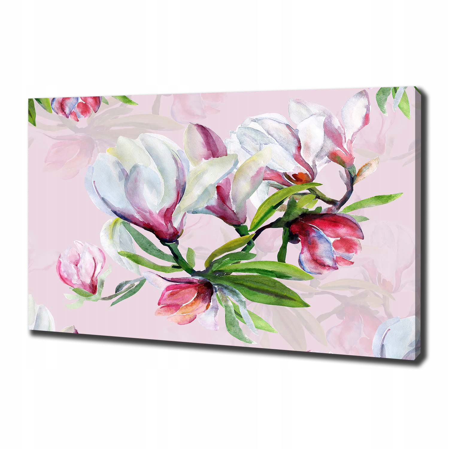

Foto obraz na płótnie Kwiaty magnolii 100x70 cm