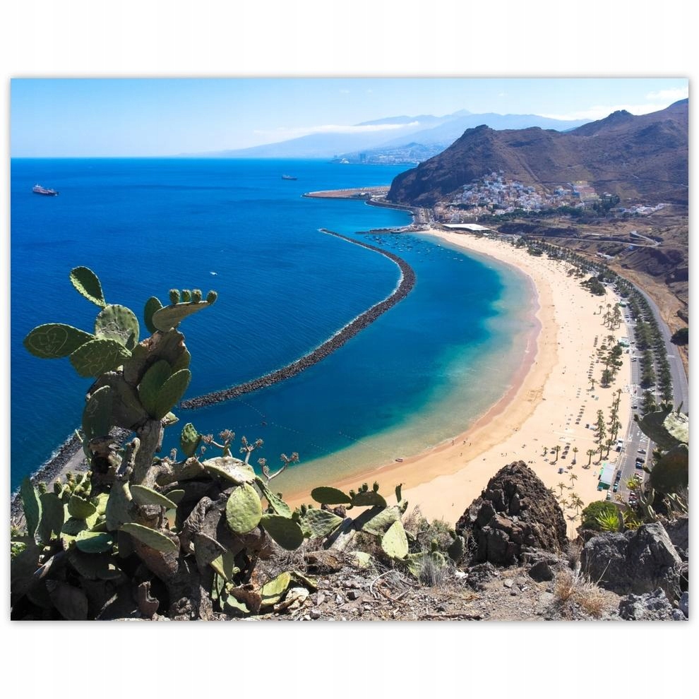 

Plakat 50x40 Spojrzenie zza kaktusa
