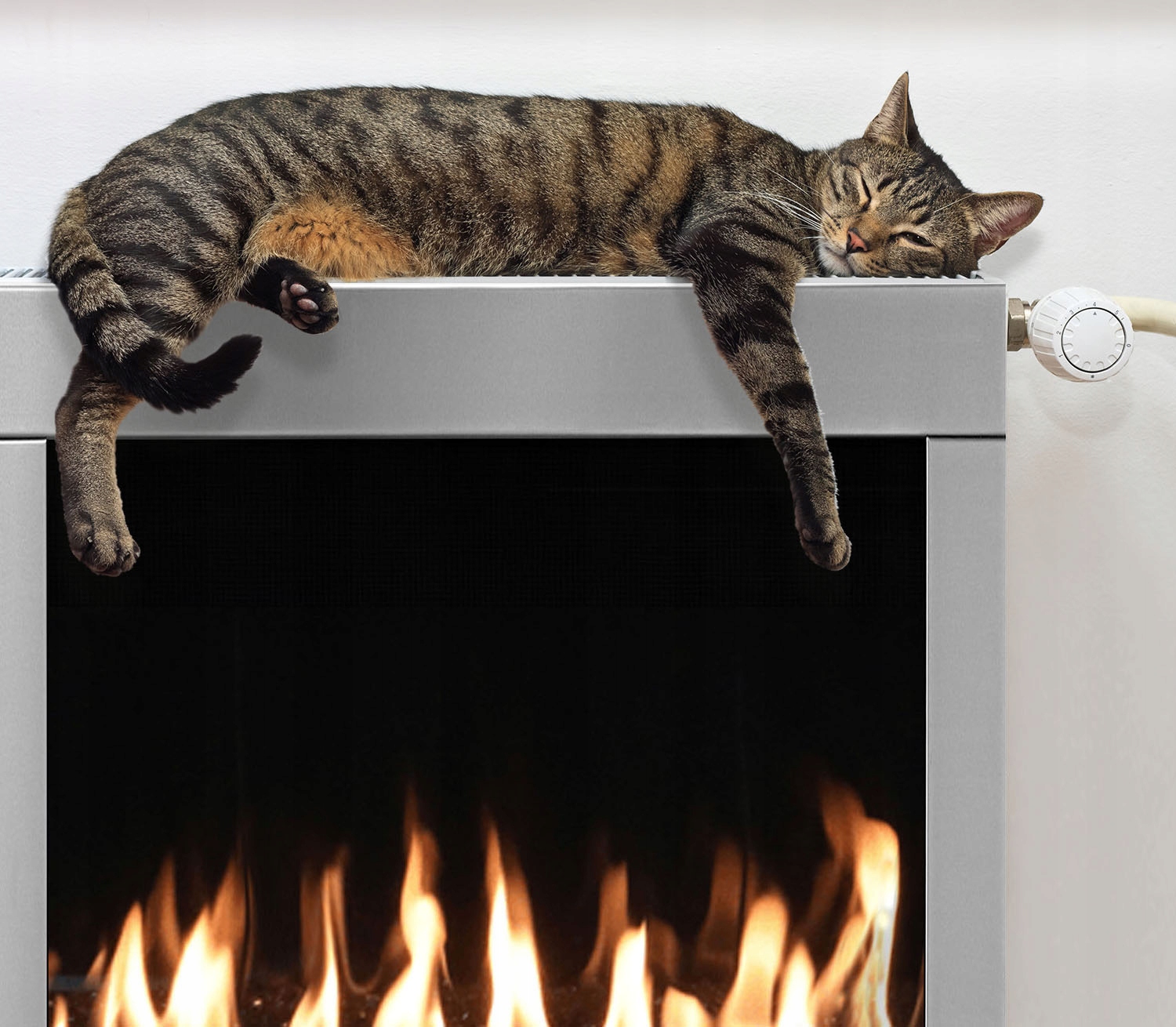 MAGNETYCZNA OSŁONA NA KALORYFER 60x60 OGIEŃ FOTOTAPETA Grubość materiału 0 mm