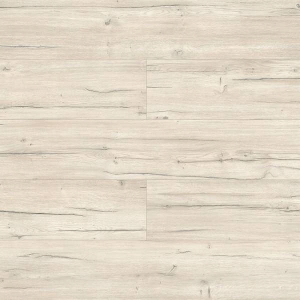 Panele Podłogowe Dąb Malediwy Wodoodporne AC5 8 mm V4 2.34m2 Szerokość produktu 24.2 cm
