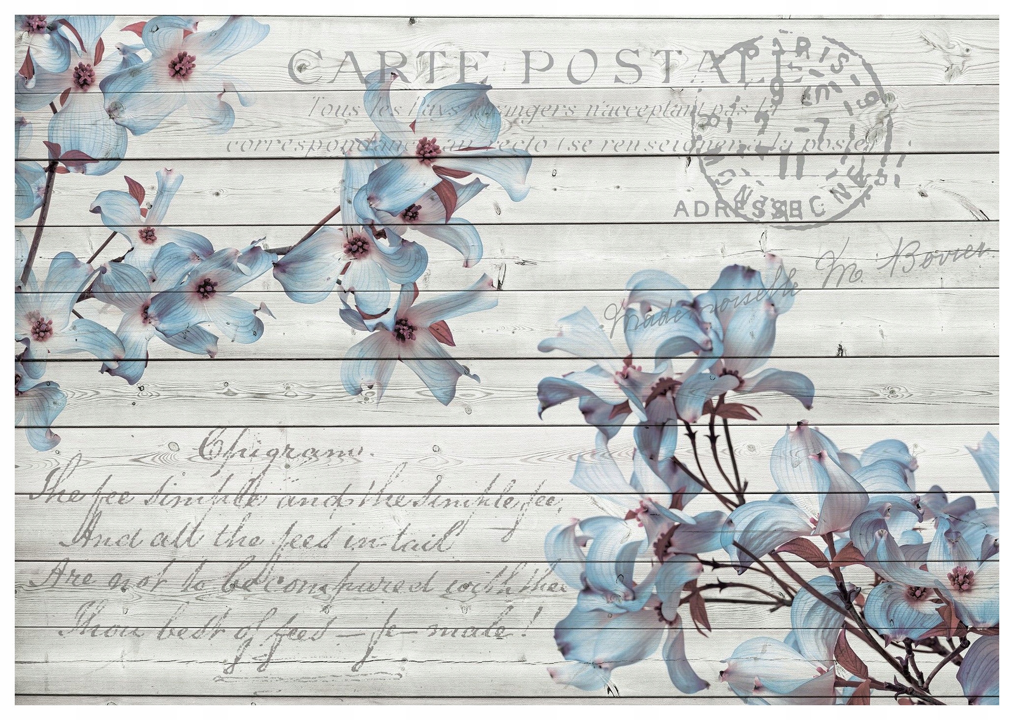 Fototapeta Květiny dřínu na dřevě vintage šedá vinylová 208x146 lepidlo