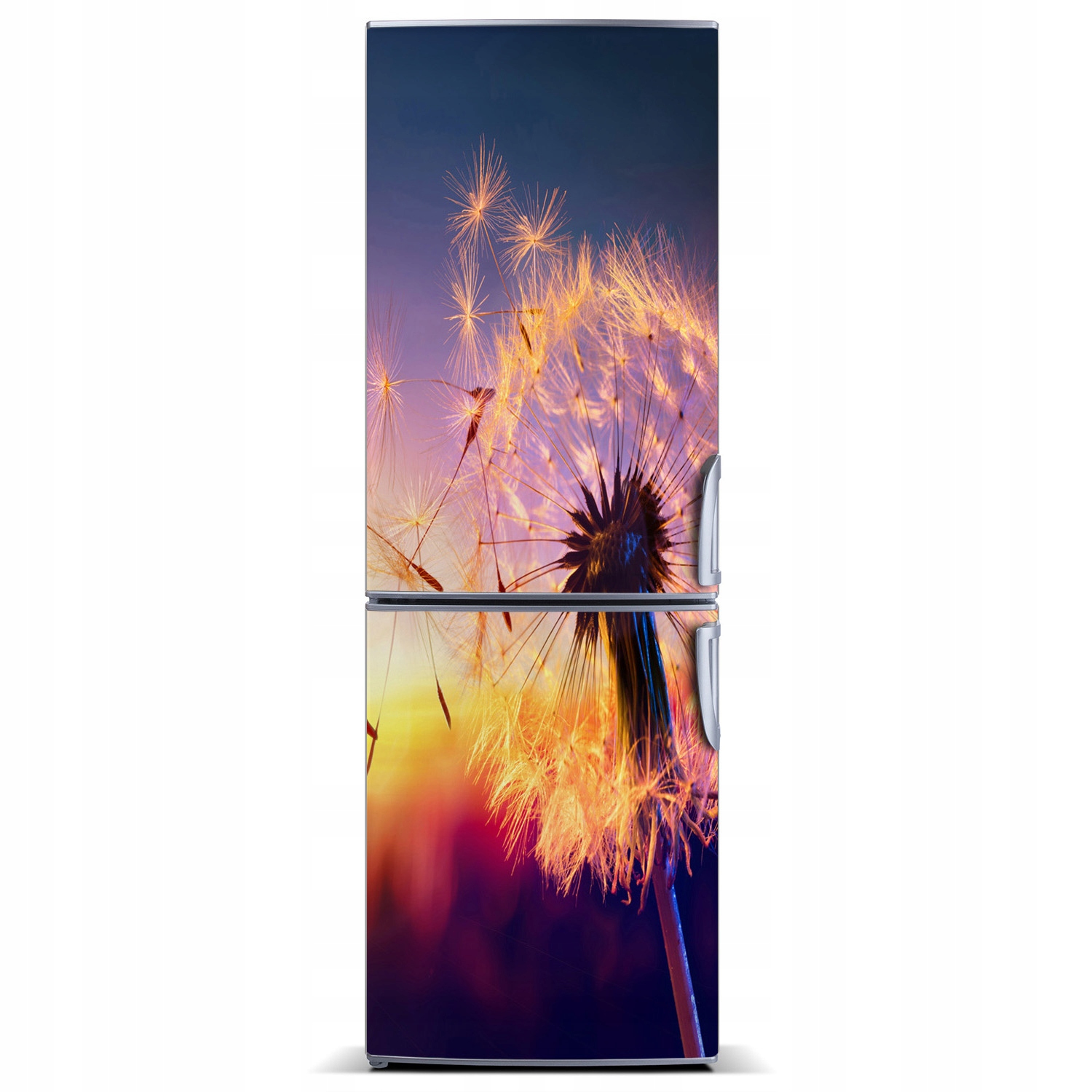 

Nalepka Magnes Tapeta na lodówkę Dmuchawiec 60x180