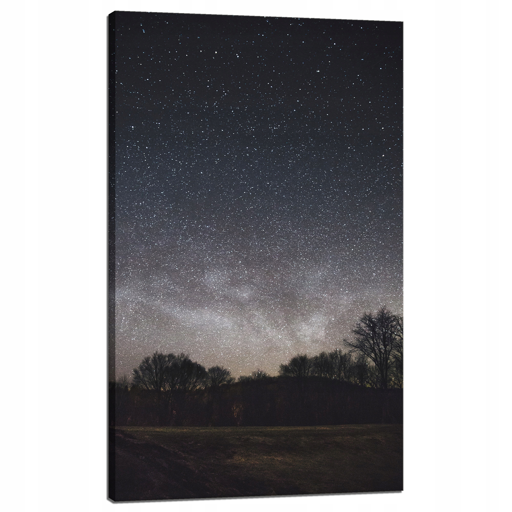 Obraz Canvas Vesmír Hvězdná obloha 60x100 cm