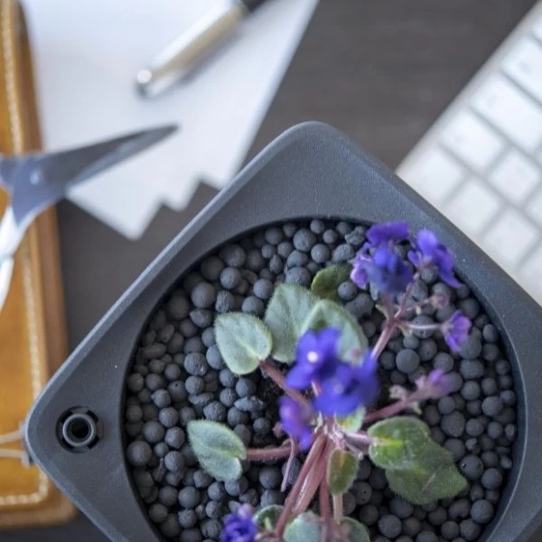 Keramzyt Fioletowy 8-16 mm 3L Kod producenta 5902837469232