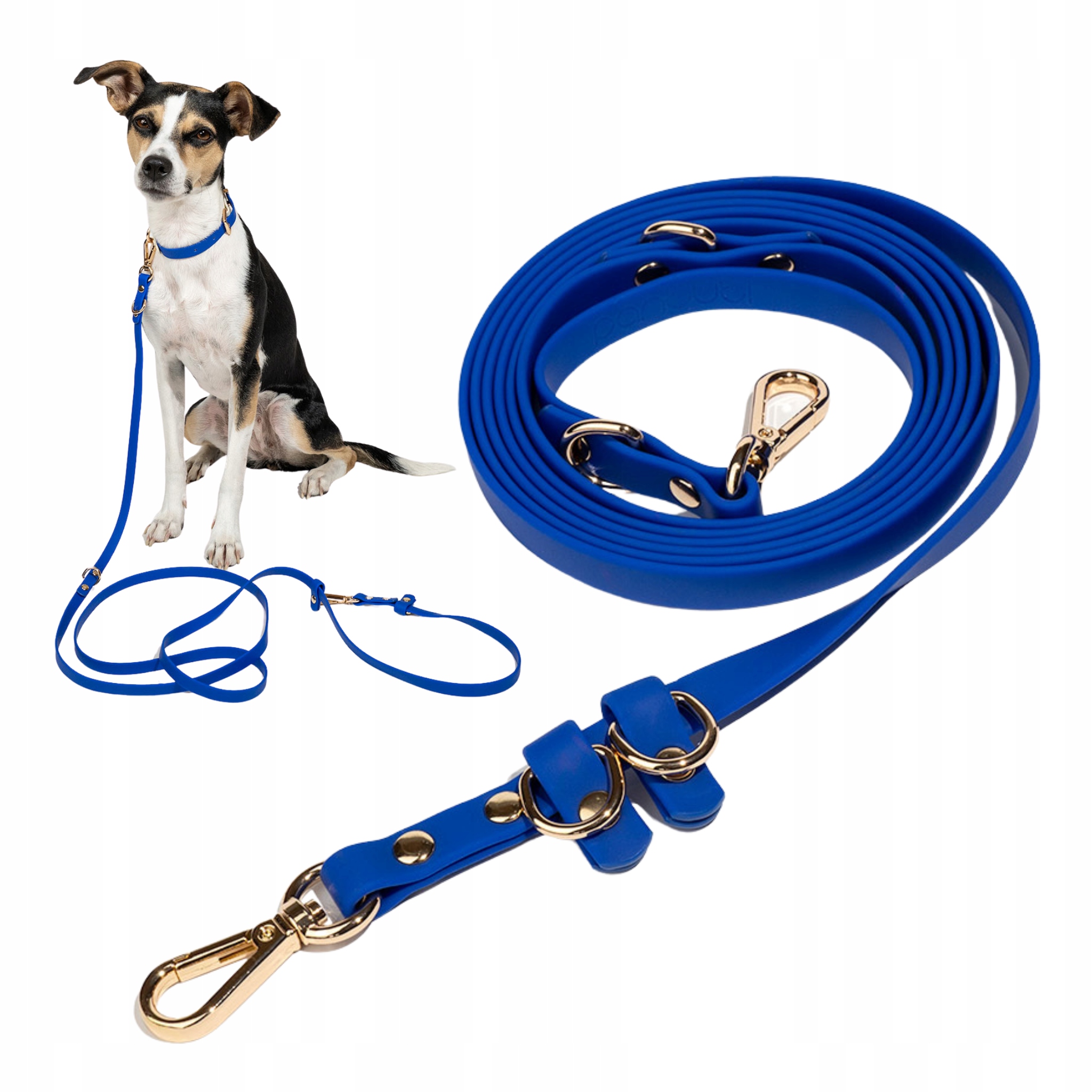 Levně Elegantní voděodolná přepínací vodítko pro psa Faro páska Pvc Modrá S