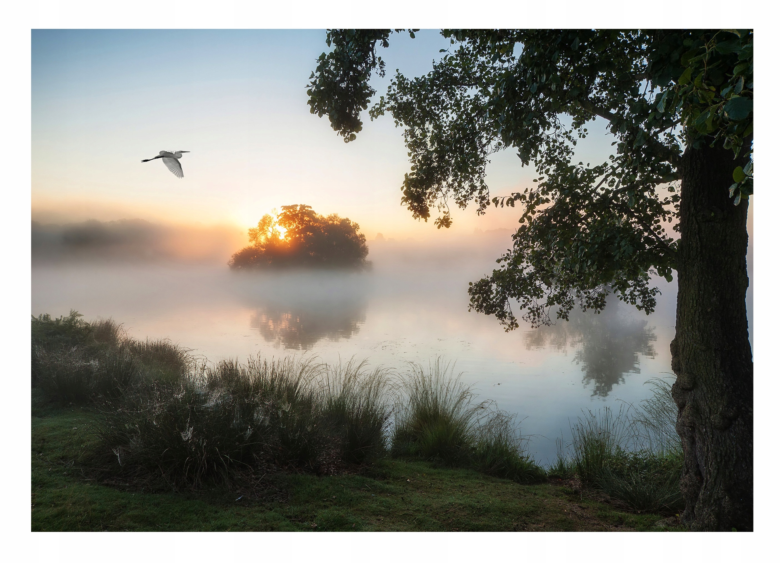 Fototapeta Ranní Mlha Jezero Čapla 254x184