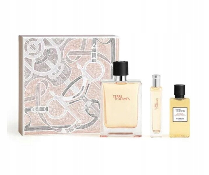 Hermes Terre d'Hermes toaletní voda Edt 100 ml sprchový gel 40 ml Edt 15