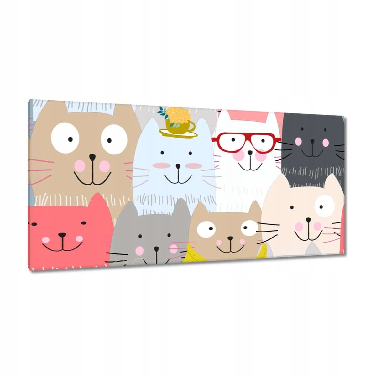 Obrazy 115x55 Kočka Kočky Kočka