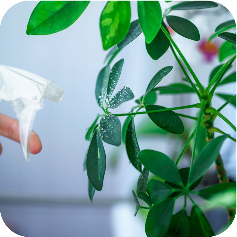 NAWÓZ W PŁYNIE 1l DO ROŚLIN ZIELONYCH FLOROVIT 1kg KONCENTRAT EAN (GTIN) 5900498008166