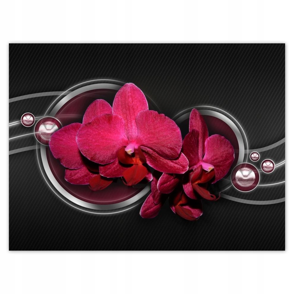 

Plakat 40x30 Storczyk z kulkami