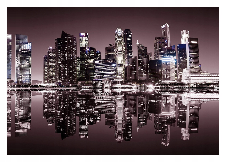 

Fototapeta 3D Singapur miasto noc 208x146 F00694
