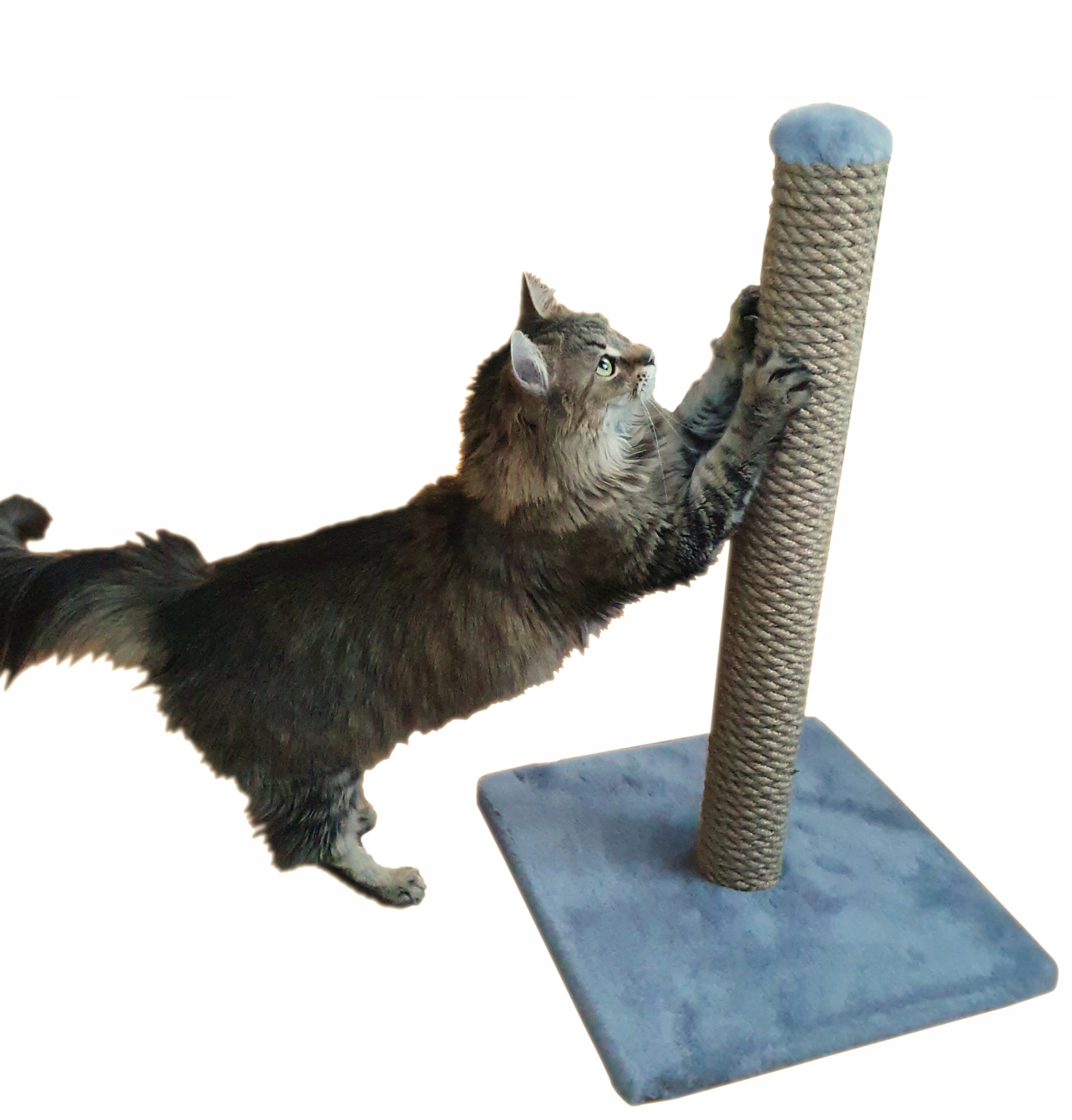 

Drapak dla kota Jasny szary XL 60cm