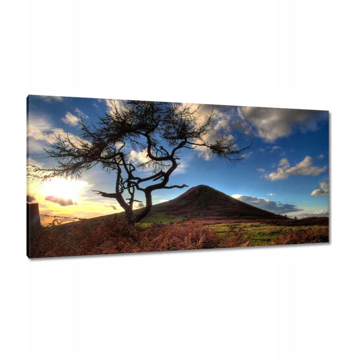 Obrazy 115x55 Stromek