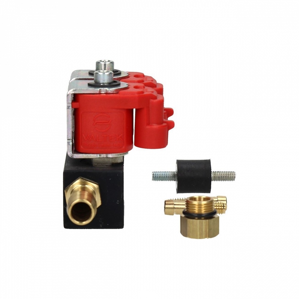 AE30.EVG.174 - Литьевая панель VALTEK 2 cyl 3 OHM оригинал