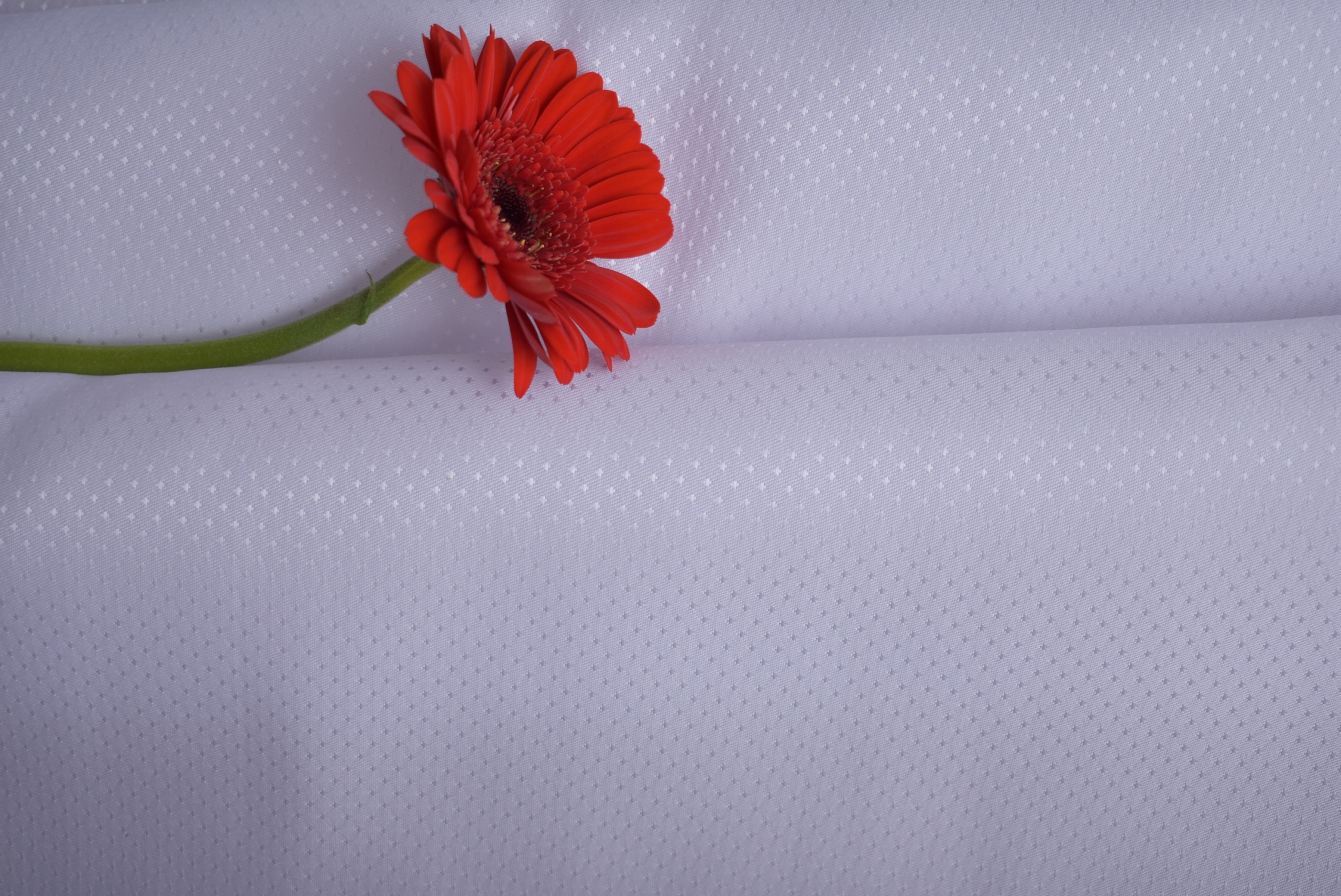 Obrus Odolný Voči Škvrnám Biely 150x340 CM Biely Diamant Každodenné Sviatky