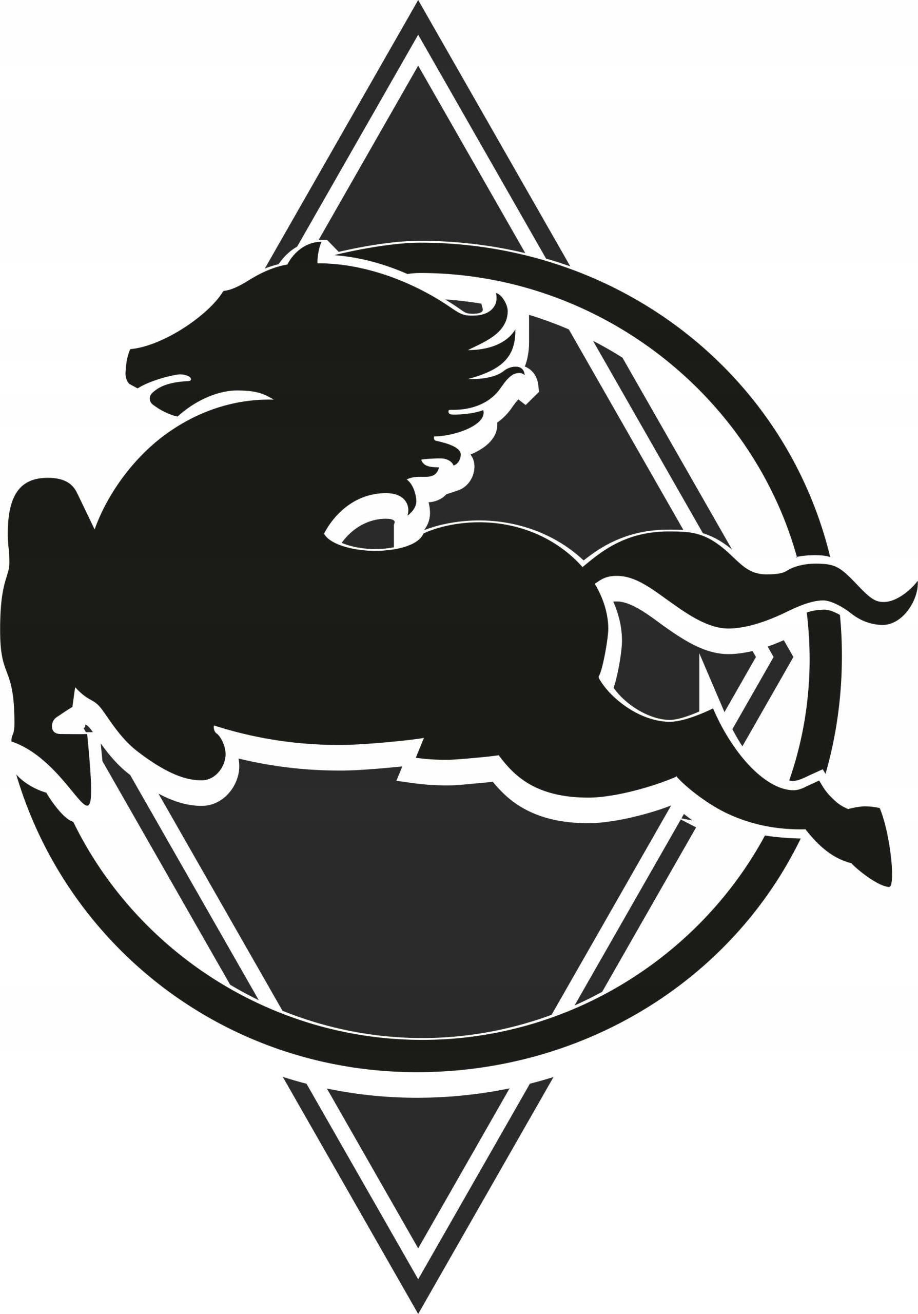 Наклейки на стороне кабины IVECO STRALIS EEV OTHER