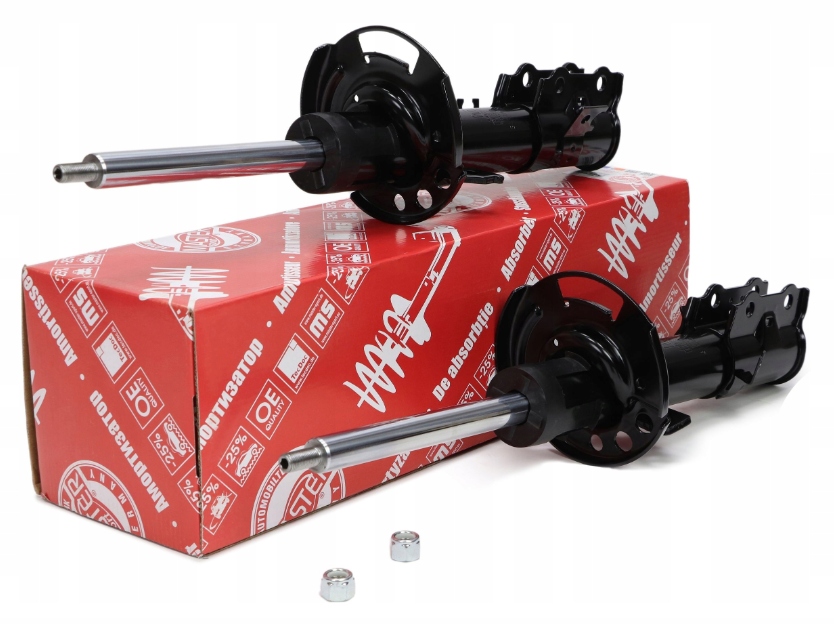 Přední tlumiče Ford Fiesta 6 CB1 Ccn Master Sport Germany