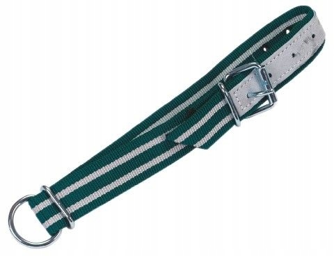 

Obroża dla bydła Classic, 130 x 4 cm biały/zielony