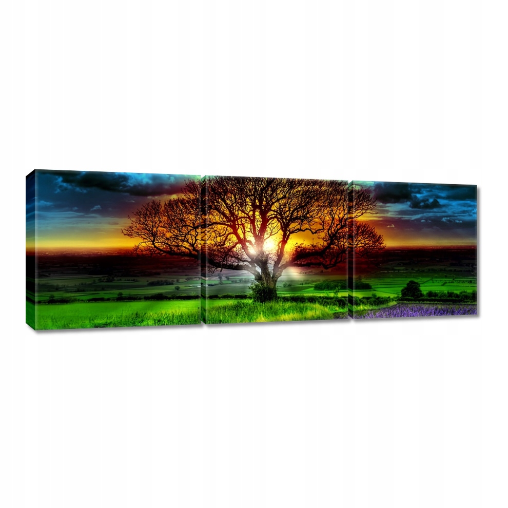 

Obrazy 120x40 Drzewo życia