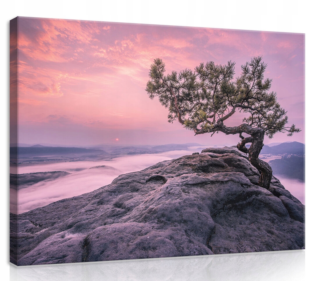 Obraz Na Plátně Canvas 100x75 Hory Strom Svítání