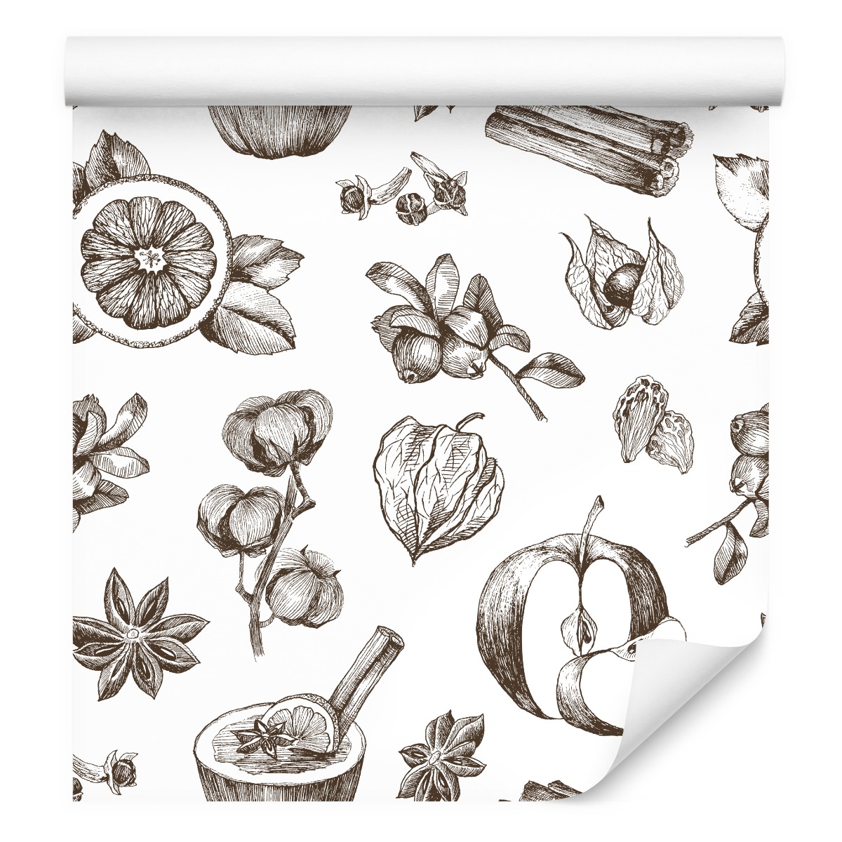 Kuchyňská tapeta Ovoce Koření Listy Skica Dekor