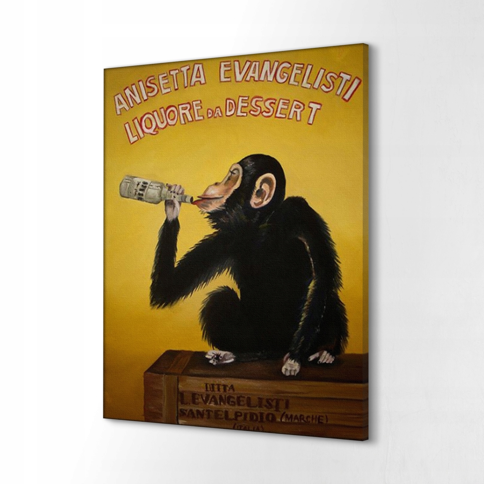Foto obraz na plátně 60x80 Opice alkohol nápoj