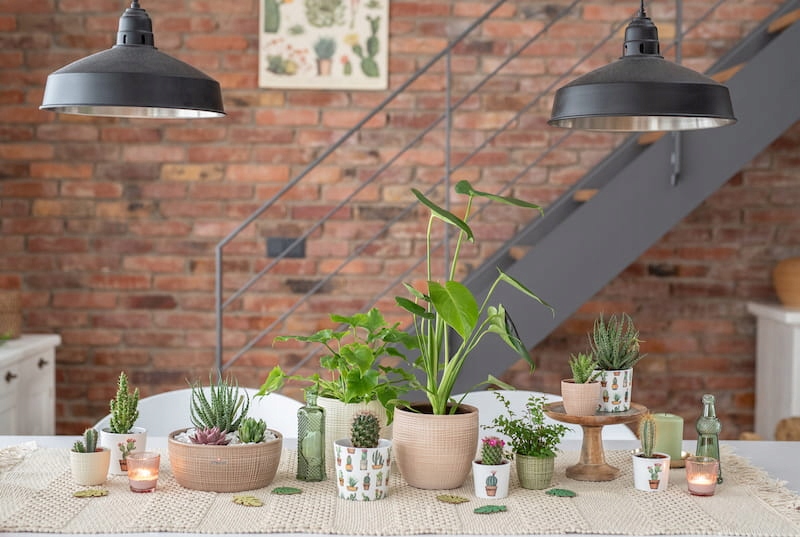 Karmelowa osłonka na doniczkę Scheurich śr. 13,7 Materiał wykonania ceramika