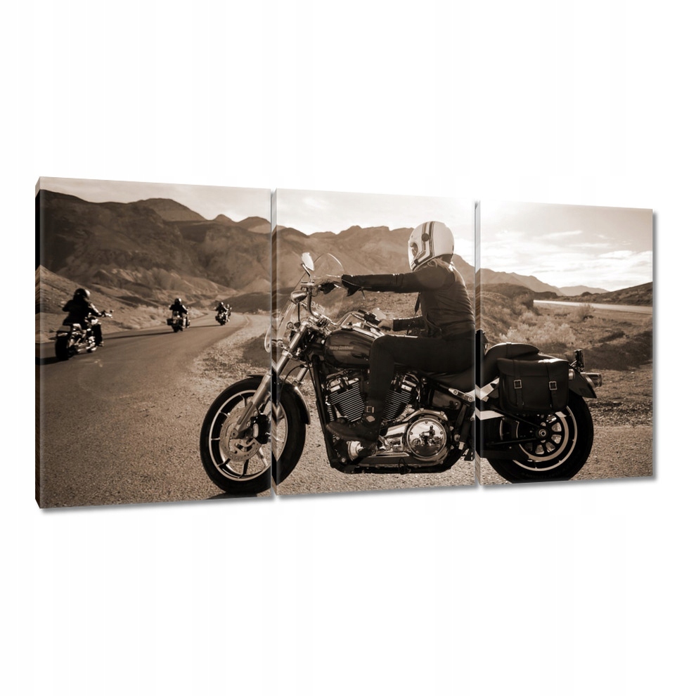 

Obrazy 120x60 Harley Davidson Motocykl