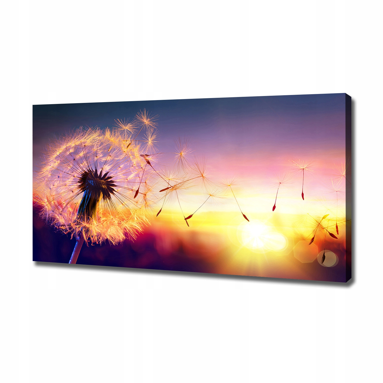

Foto obraz canvas na ścianę Dmuchawiec 120x60 cm