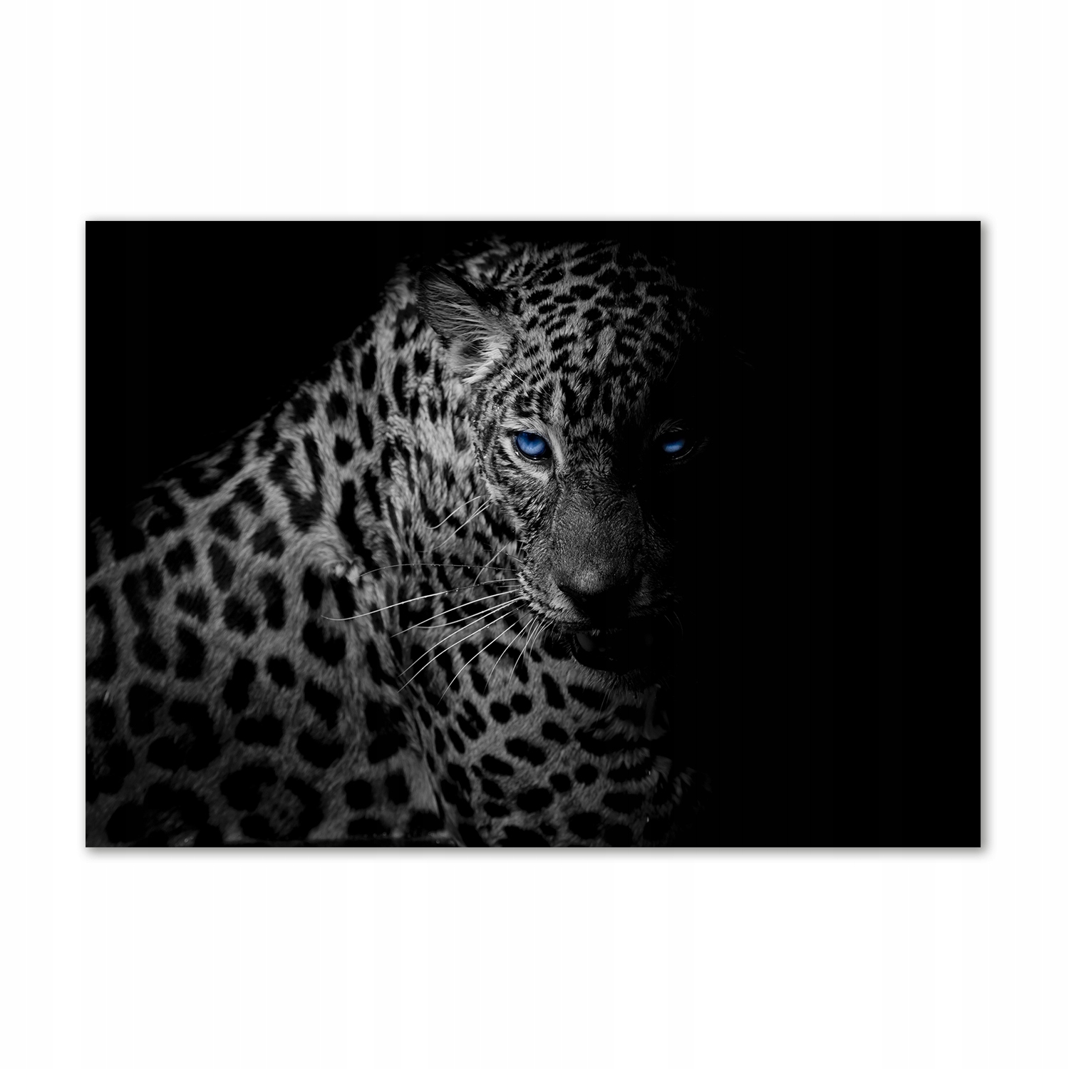 

Fotoobraz na ścianę szkło hartowane Lampart 100x70