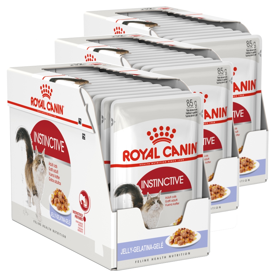 Levně Royal Canin Instinctive Krmivo v želé pro vybíravé kočky 36 x 85 g