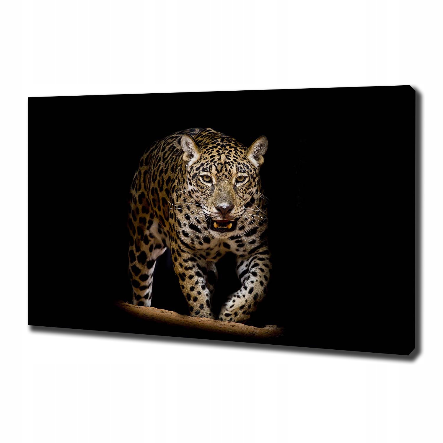 Velký fotoobraz na zeď Jaguar 100 x 70 cm
