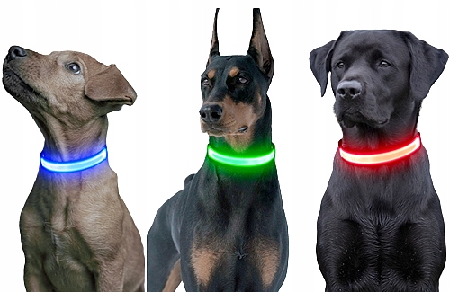 

Obroża Led świecąca Na Baterie dla psa rozmiar L