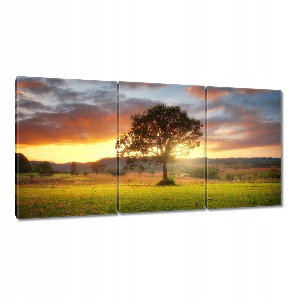 

Obrazy 120x60 Magiczny pejzaż
