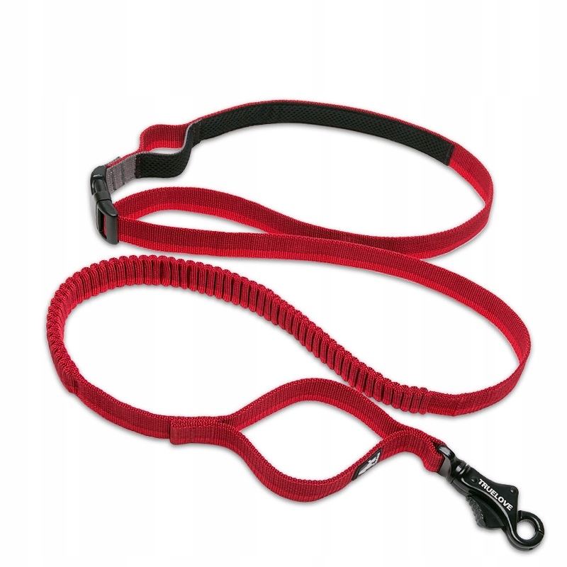 

Smycz dla psa z amortyzatorem Dogtrekking Mocna M