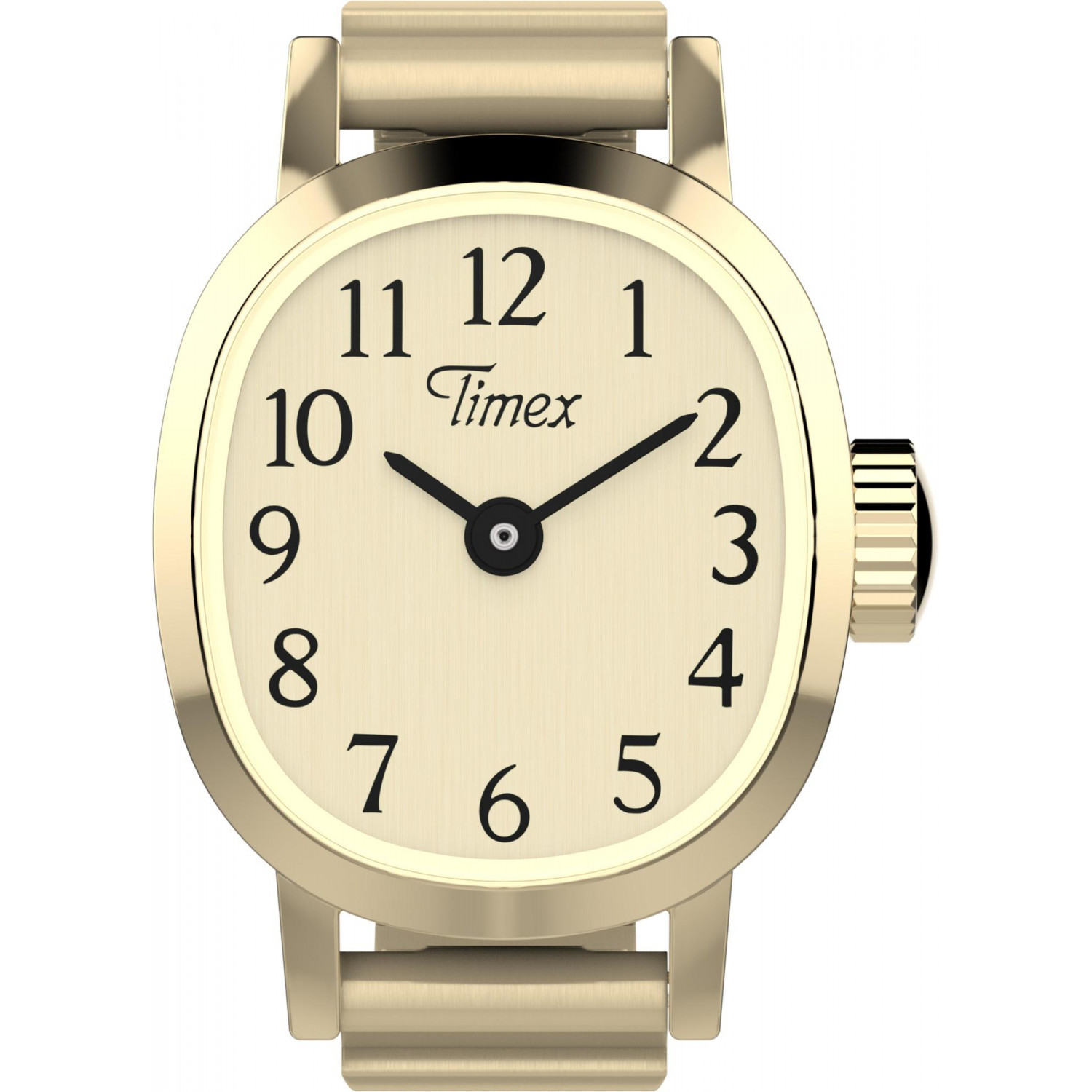 Dámské hodinky Timex TW2Y70800 zlaté
