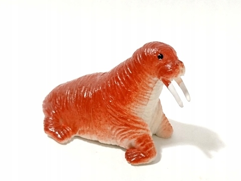 

Dzikie Zwierzęta Polarne Mors