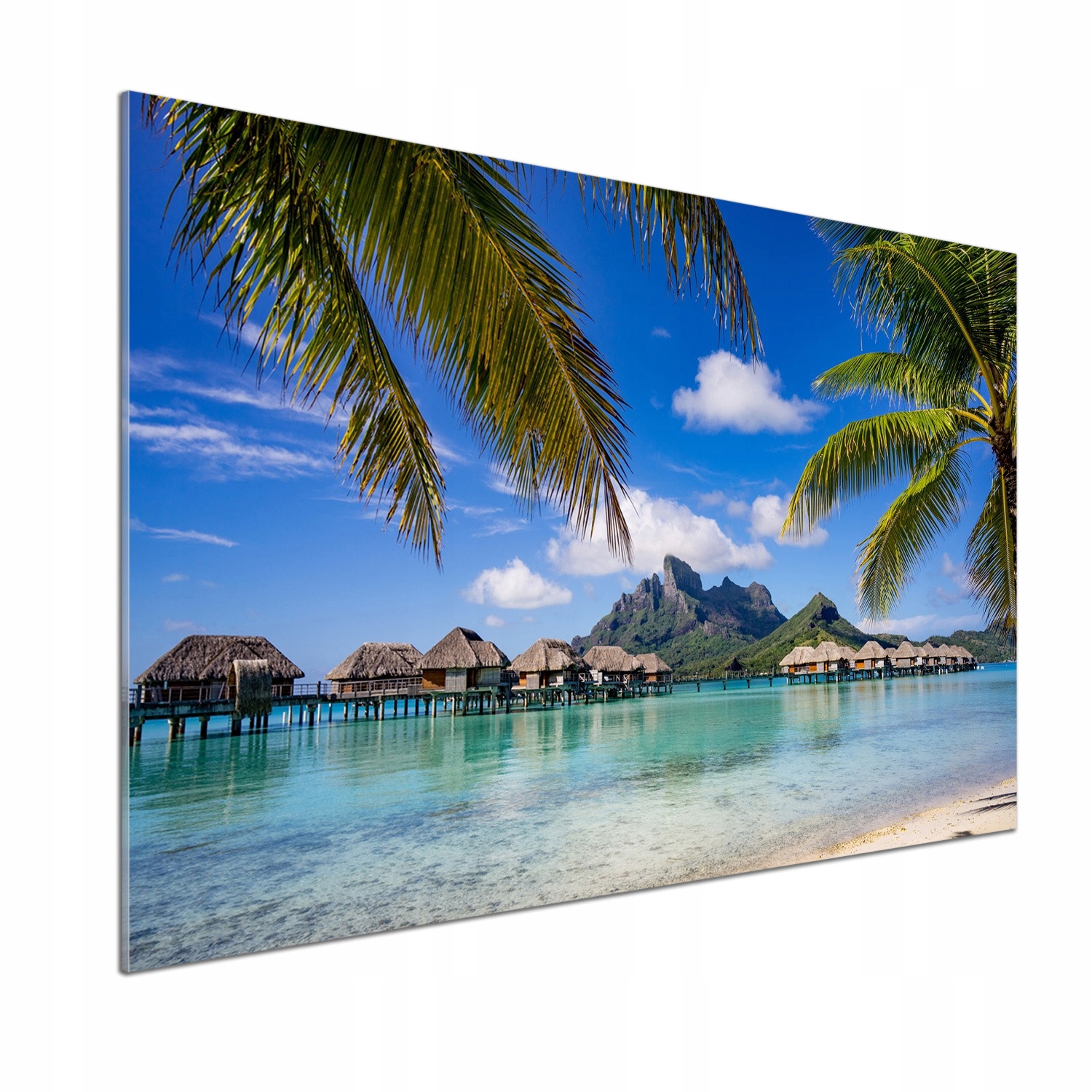 Panel do kuchyne Palmy na Bora Bora 100x70 Lepidlo