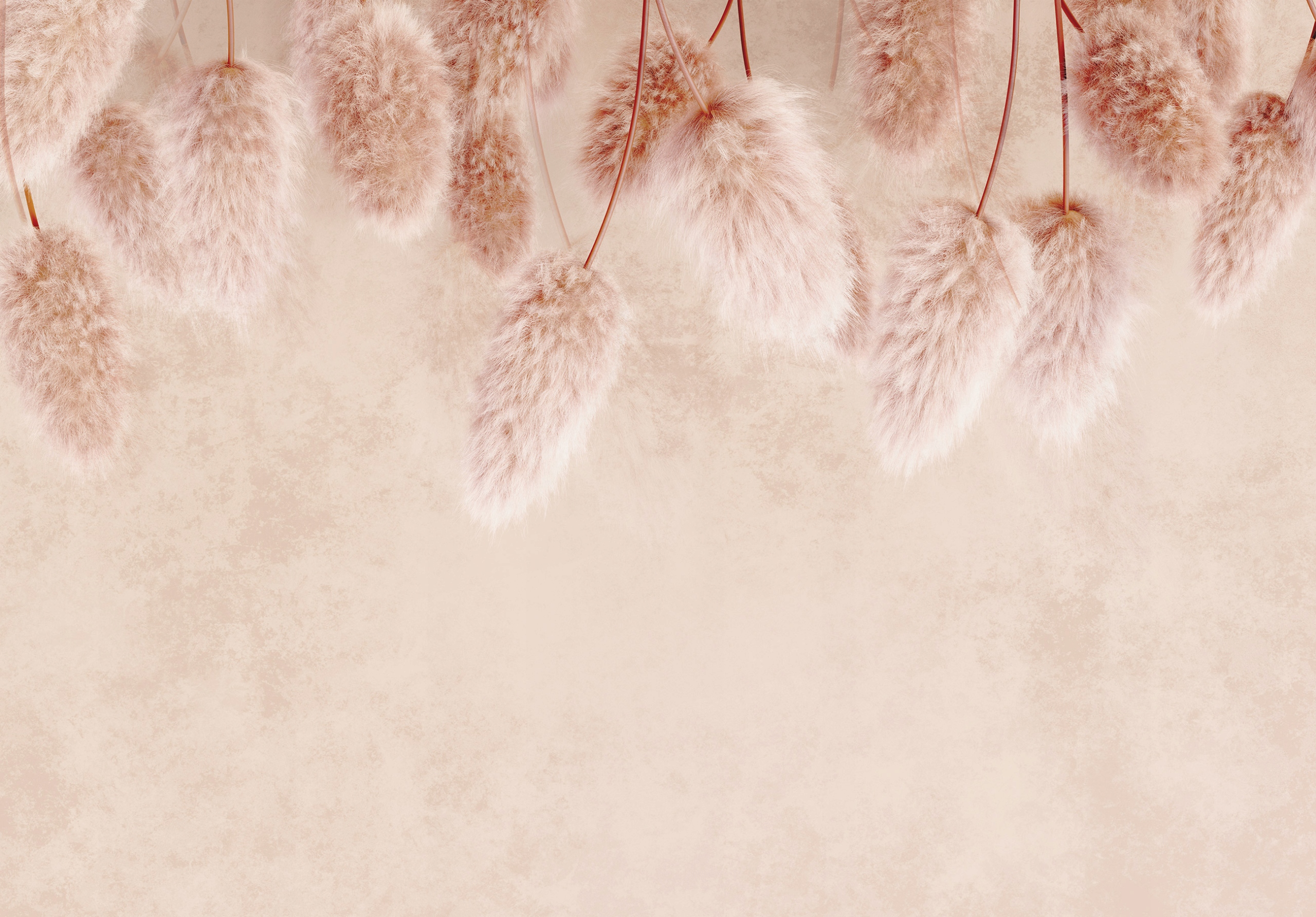 Fototapeta Pampas Tráva na zeď vinyl 312x219 Boho styl Minimalismus lepidlo