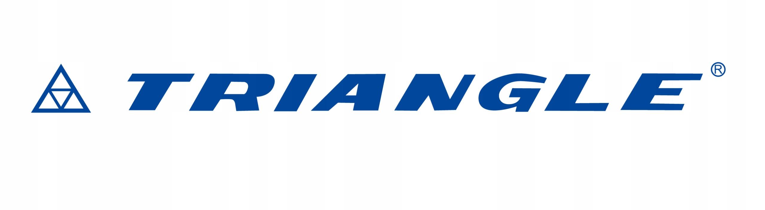 Triangle SnowLink LL01 215/70R15 109/107 S (3PMSF), wzmocnienie (C) Kod producenta CBCTRLL121F15DHJ