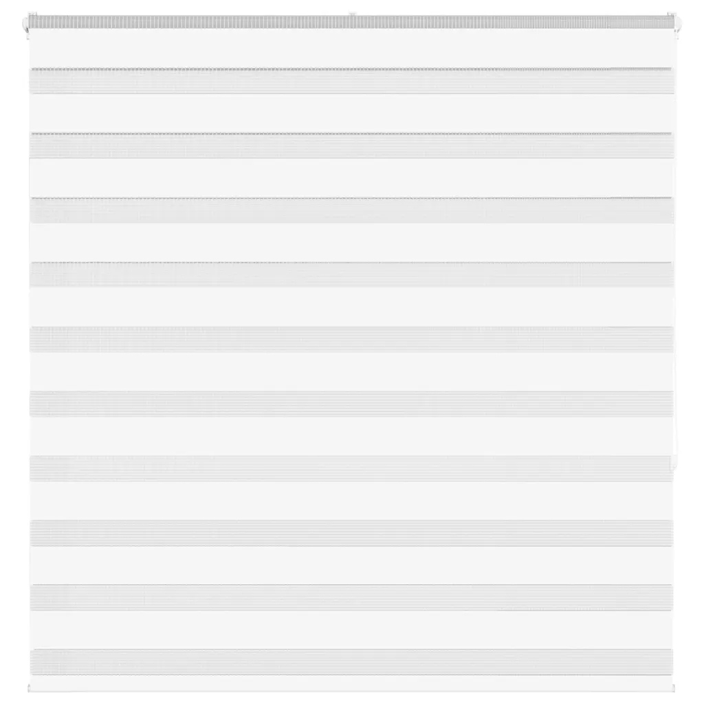 Zebra roleta bílá 150x150 cm šířka látky 145,9 cm polyester Bílá 4014765