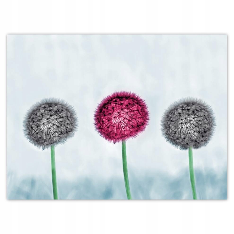 

Plakat 40x30 Szare z fioletowym