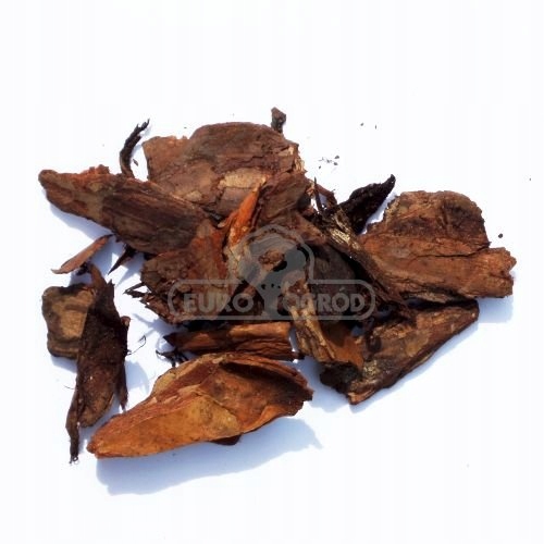 KORA OZDOBNA SOSNOWA GRUBA 60L Marka PAZIO