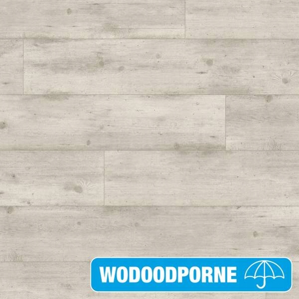 Panele Podłogowe Beton jasny Wodoodporne AC5 12 mm V4 1.31m2 Struktura inna