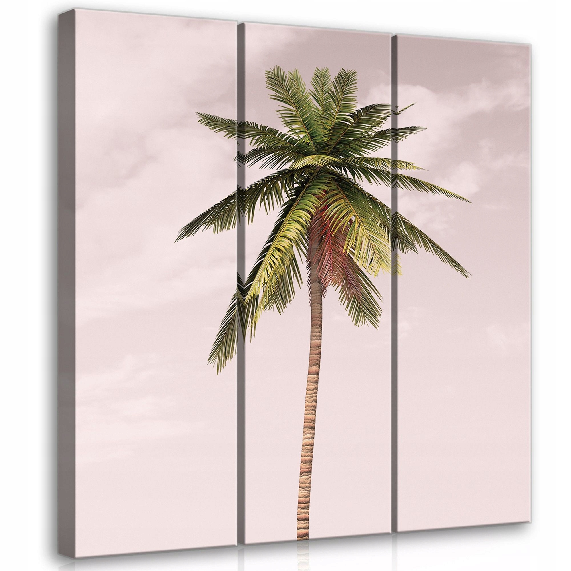 Obraz 90x100 Tropické palmy nebe mraky léto relaxace příroda exotika