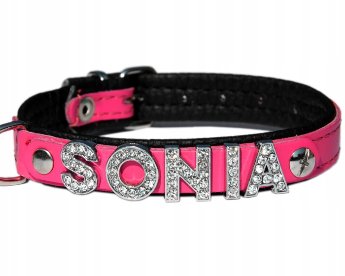 Levně Obojek pro malého psa se štěnětem a jménem 35 cm