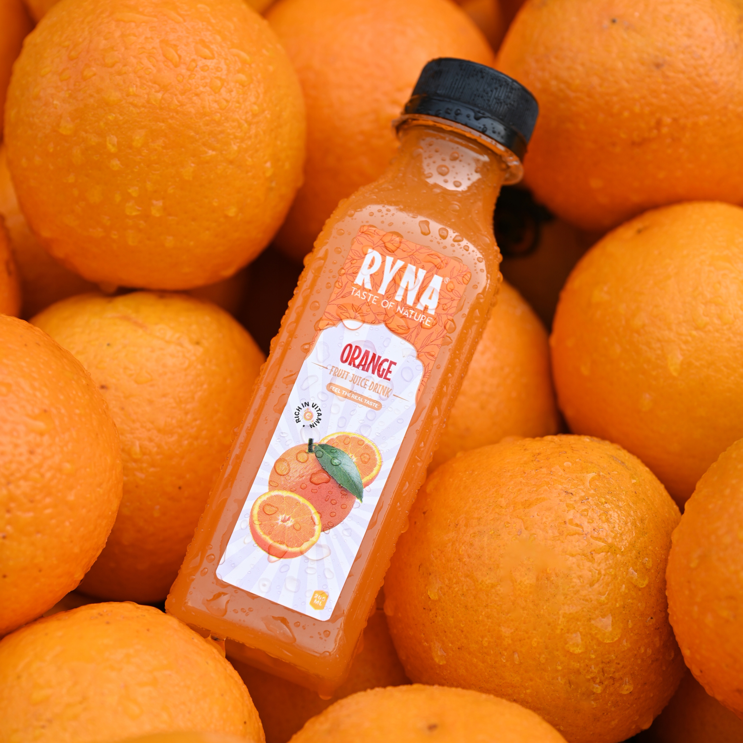 Levně Ryna Pomerančový Džus 200MLX 48 ks